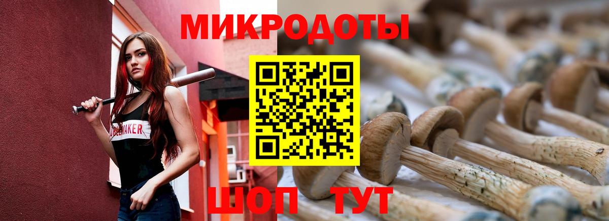продажа наркотиков  Псилоцибиновые грибы мицелий  Вход с VPN  Бахчисарай 